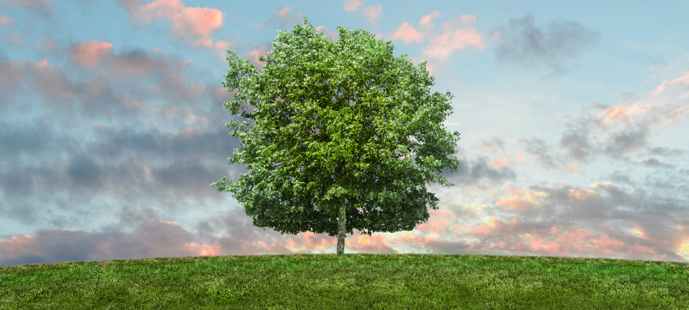 Family tree research
