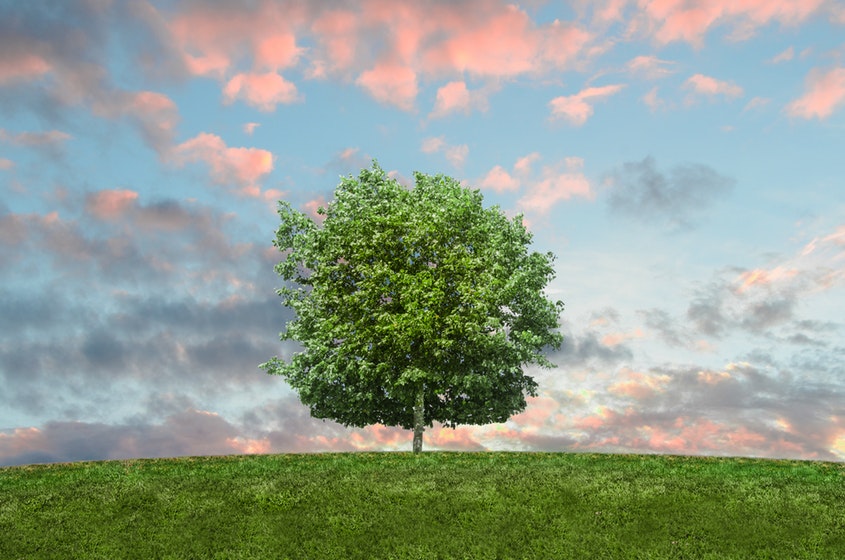 Reconstructing family trees